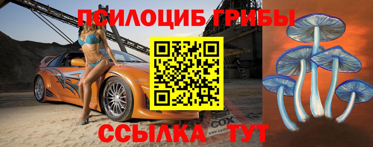Рузаевка  Псилоцибиновые грибы Cubensis  Псилоцибиновые грибы Psilocybe  Вход с VPN 
